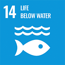 sustainability2-img14.png