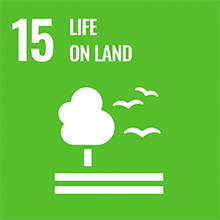 sustainability2-img15.png
