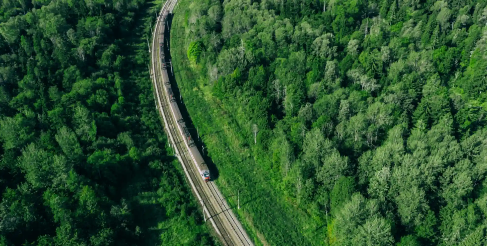Aerial view of a train running along a railway through a green forest