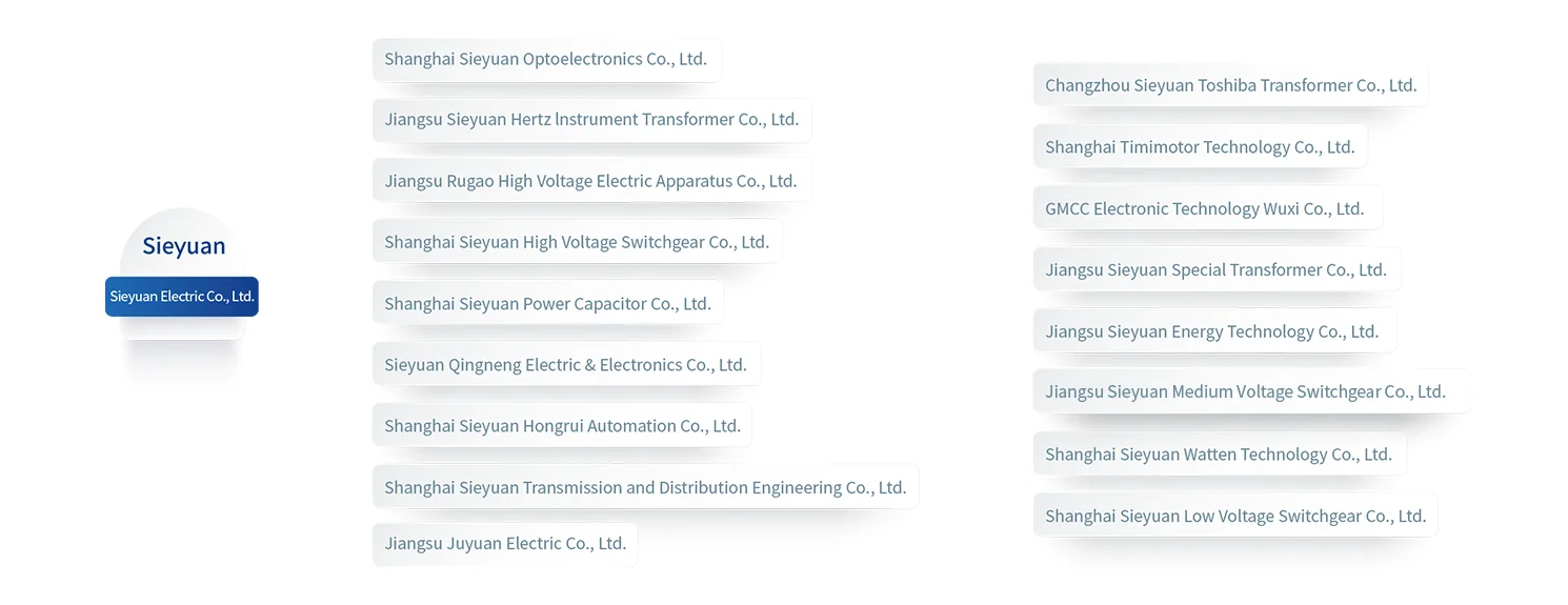 Sieyuan Electric group structure chart showing its subsidiary companies